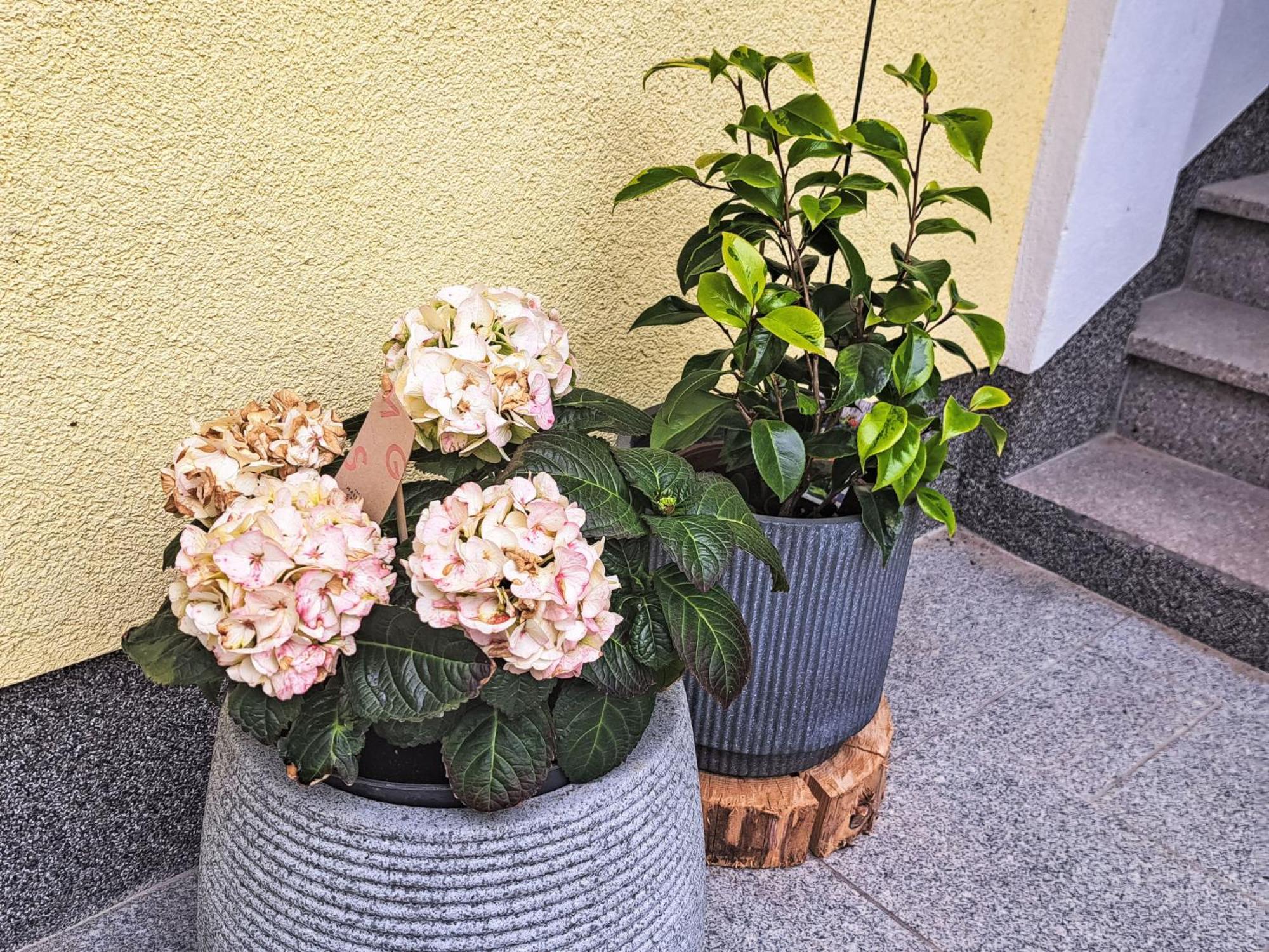 Apartment Waldfrieden By Interhome Oberwang Luaran gambar